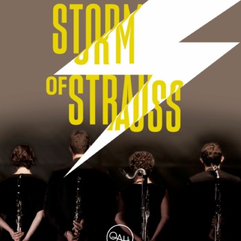 Storm of Strauss - page programmes